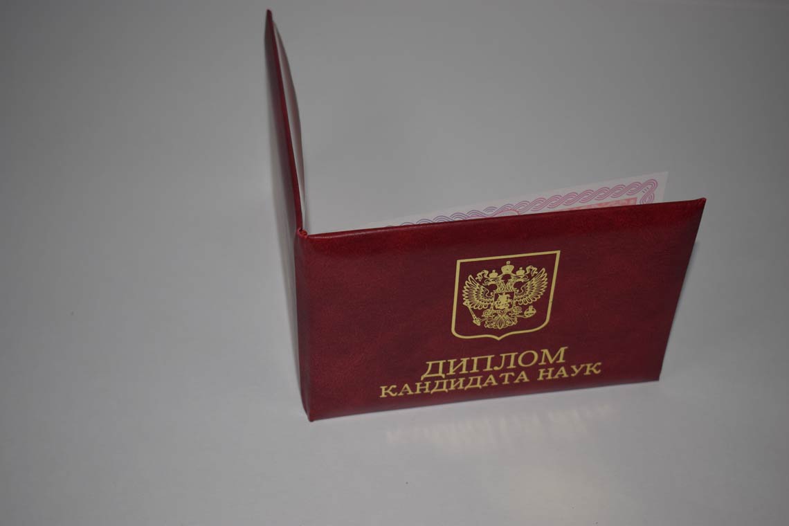Диплом Кандидата Наук 2013-2016 в Благовещенске корка