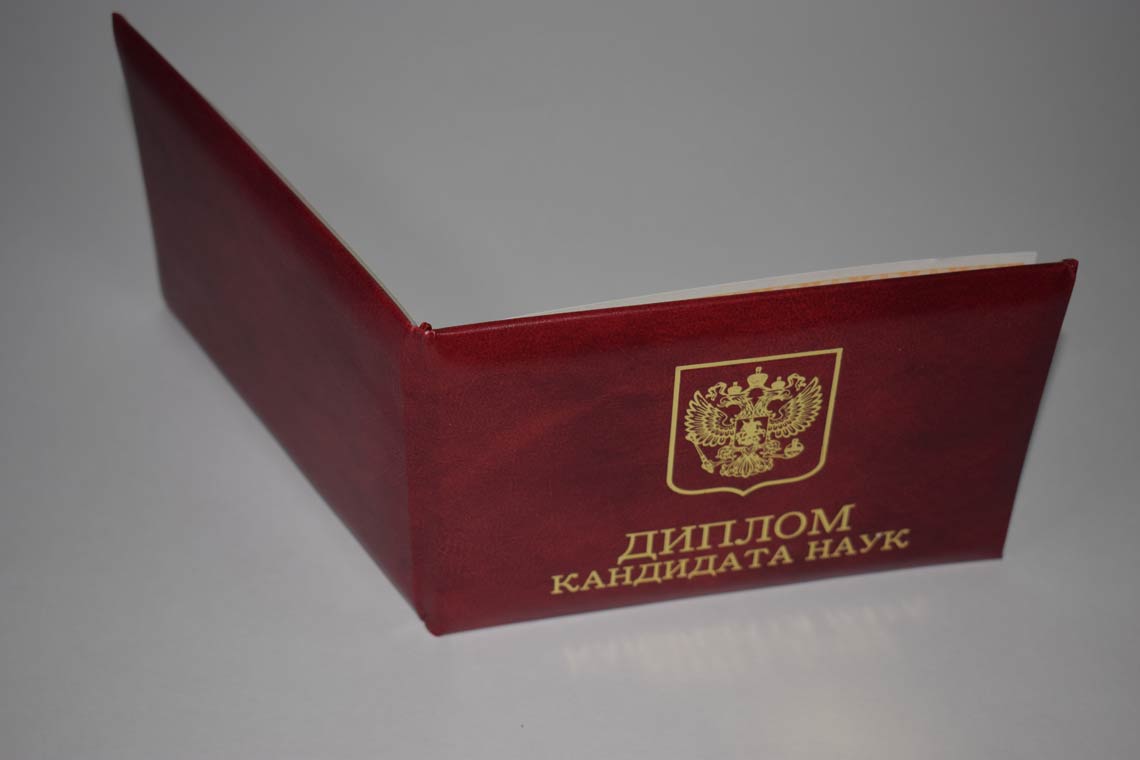 Диплом Кандидата Наук 2017-2025 в Благовещенске корка