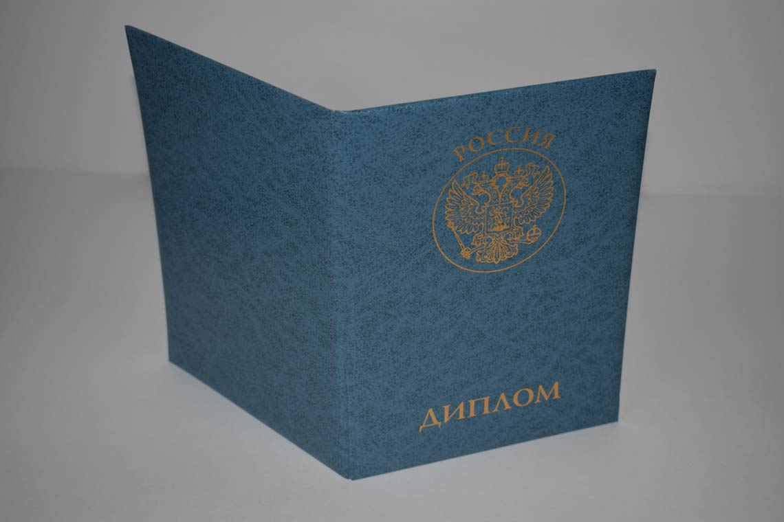Диплом MBA 2011-2025 в Благовещенске корка